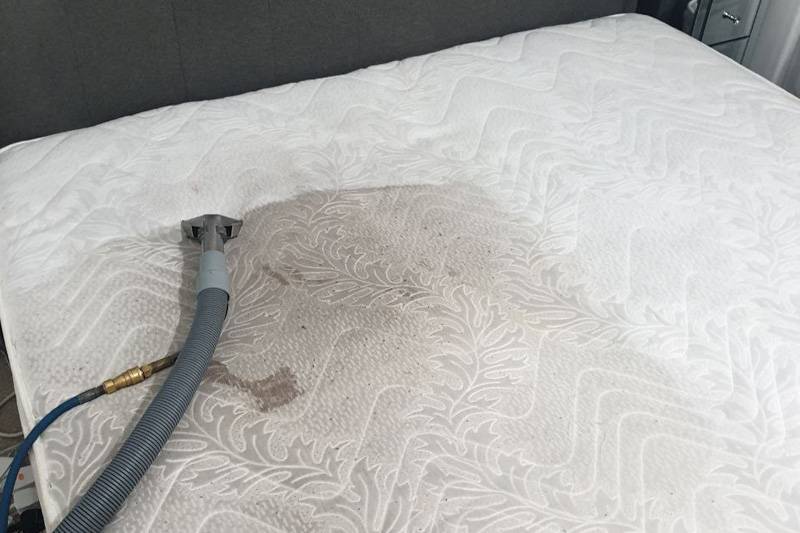Top Tips for Upholstery Cleaning Services – Vip Carpet Cleaning London