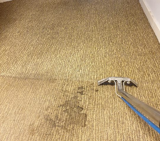 Emergency Carpet Cleaning Services Are